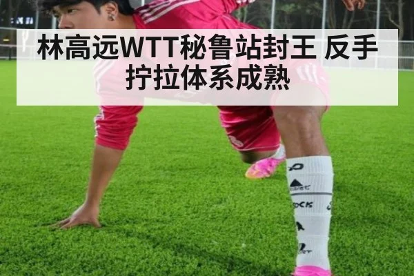 林高远WTT秘鲁站封王 反手拧拉体系成熟