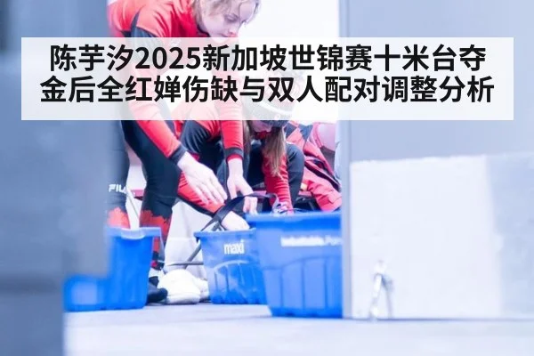 陈芋汐2025新加坡世锦赛十米台夺金后全红婵伤缺与双人配对调整分析